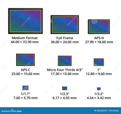 aps-c フルサイズ ～ フォーマットの違いが生む創造の可能性